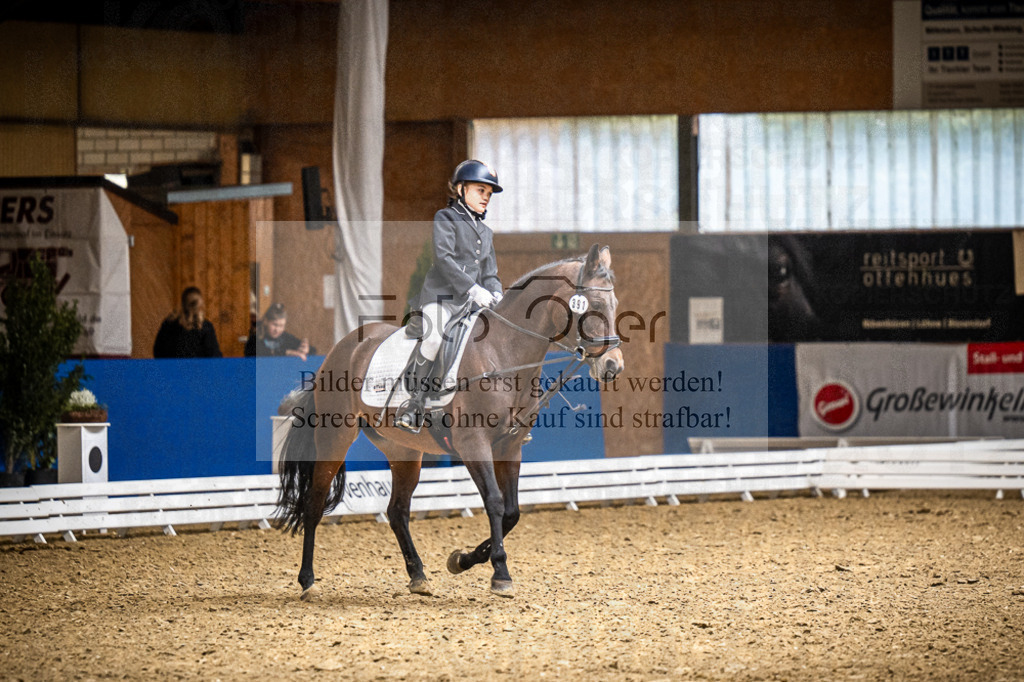 DOS_1753 | Entdecke hochwertige Reitturnierfotos von Foto Oger. Professionell, emotional und authentisch – jetzt Lieblingsmomente im Shop bestellen. - Realisiert mit Pictrs.com