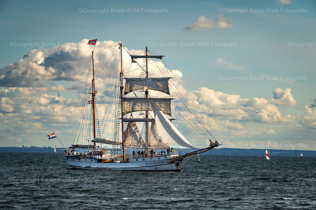 P1870267 | beatekidd-fotografie - Realisiert mit Pictrs.com