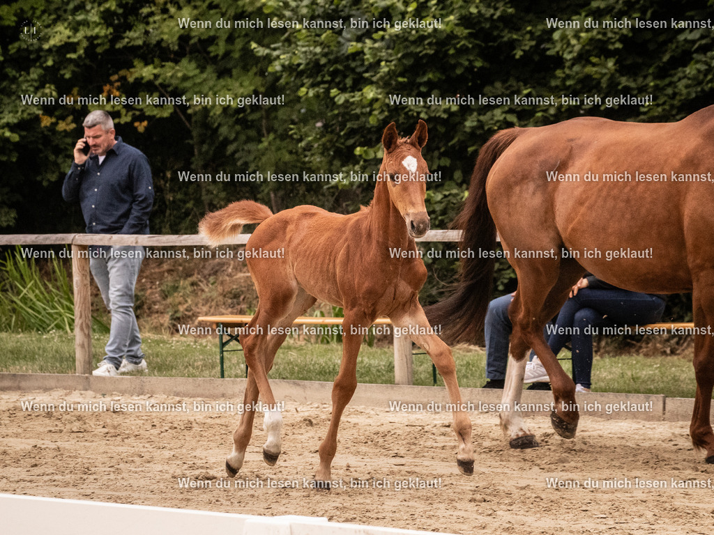 A10I4192 15.58.11 | photographylinaismer - Realisiert mit Pictrs.com