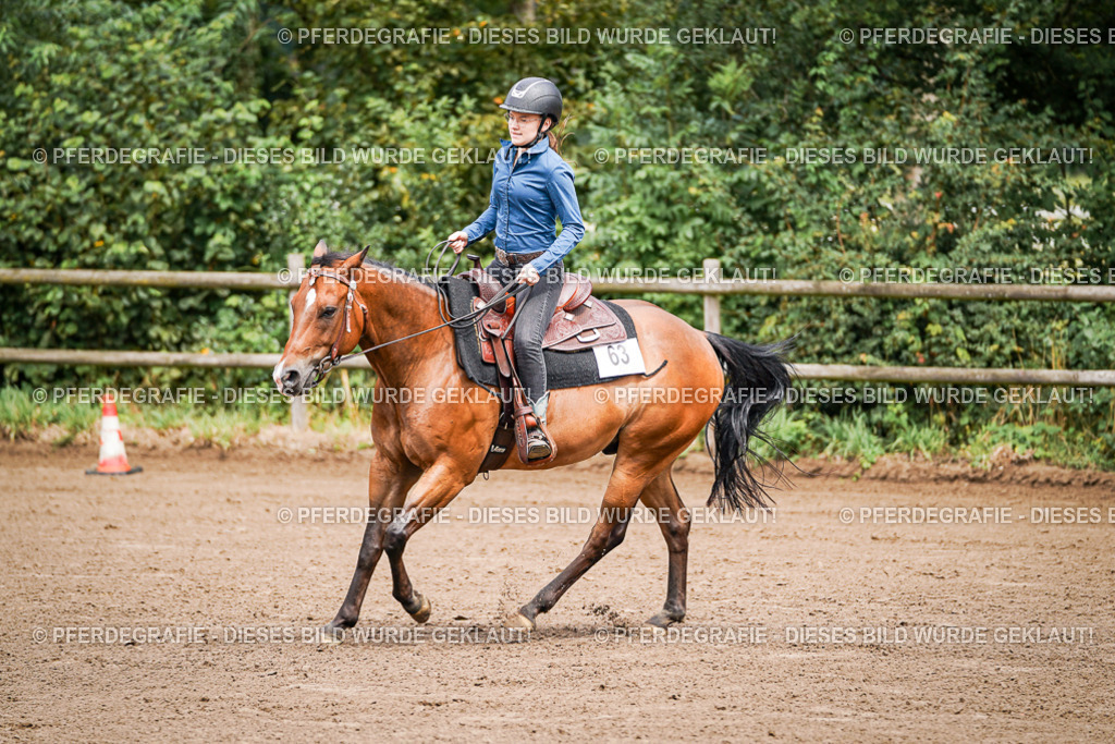 DSC05717 | Pferdegrafie