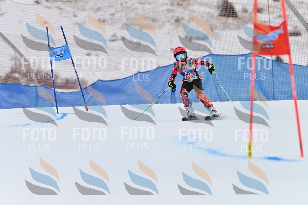 BGV_1361 | holidayphoto