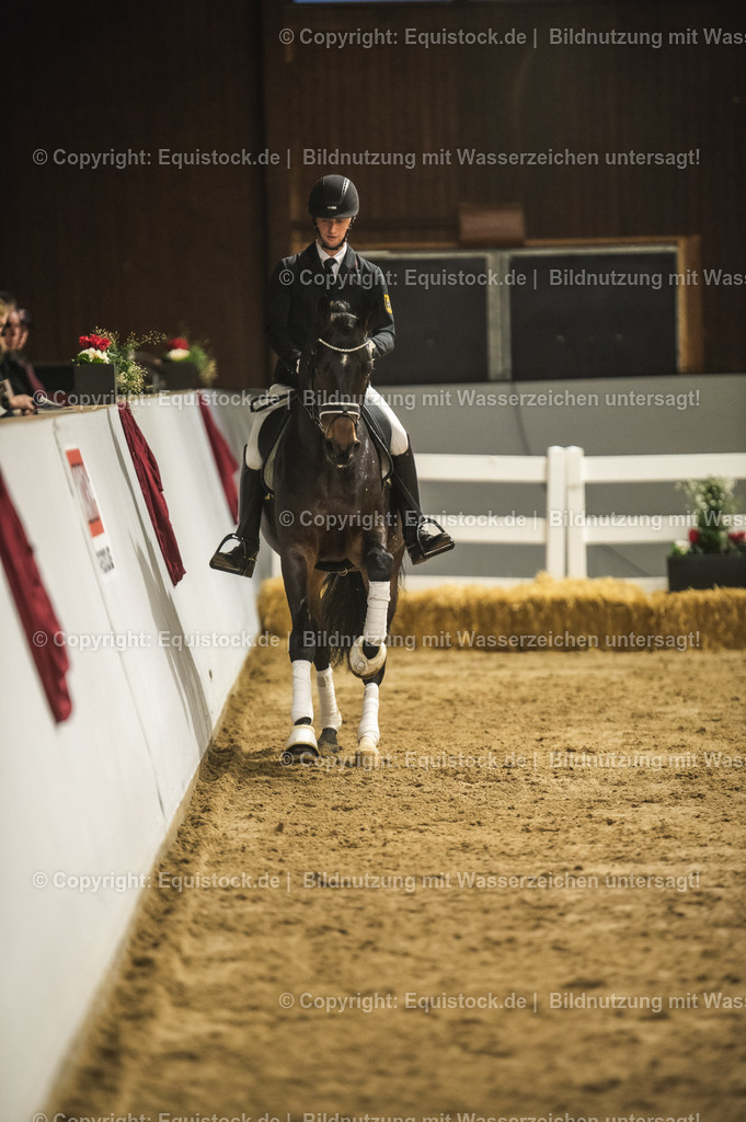 20240302_Hengstvorstellung_Marbach_TOMsPiC_0406-2 | equistock