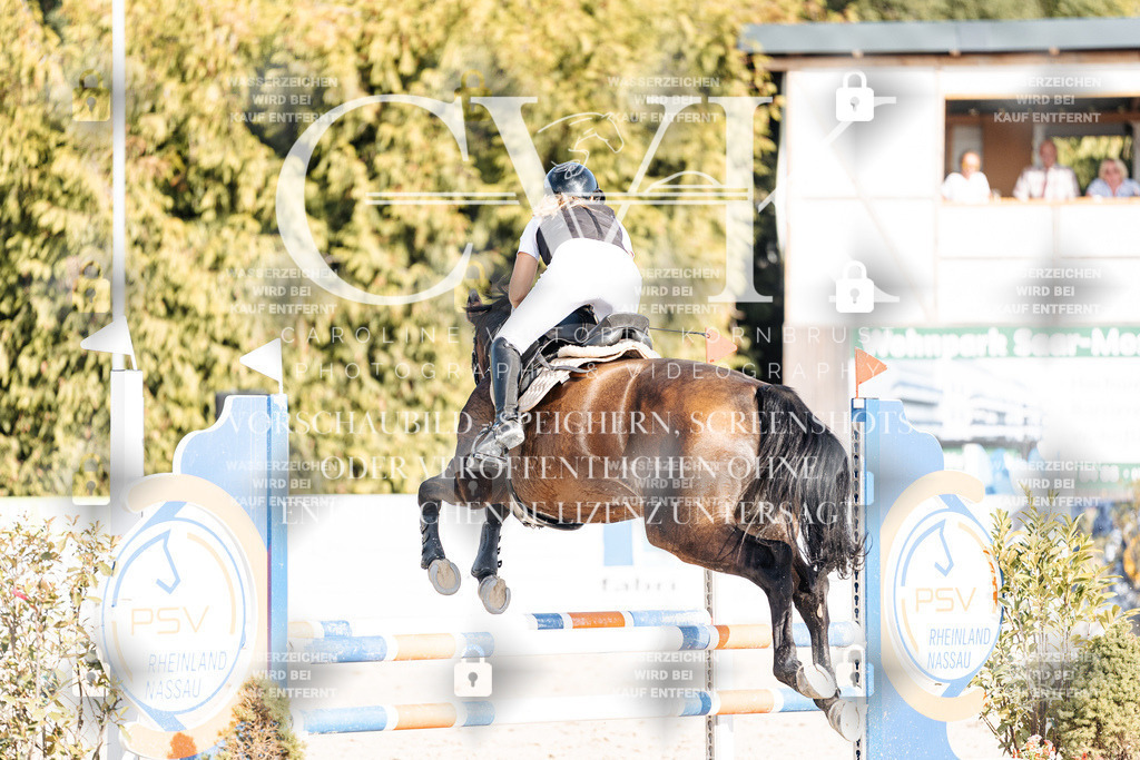CK909516 | Turnierfotografie Pferdefotografie Trier Rheinland-Pfalz Pferdesport Reitsport Tierfotografie Sportfotografie Pferdevideo Pferdevideografie Equestrianvideography equestrianphotography  - Realisiert mit Pictrs.com
