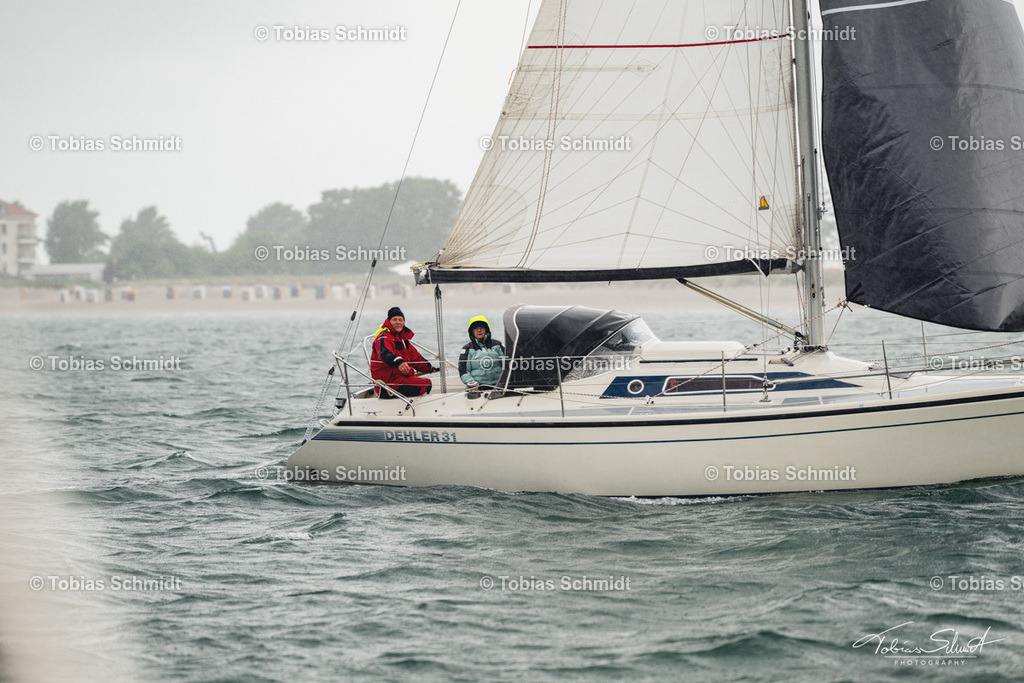 Fehmarn Rund 2025_DSC6715 | Fotoprodukte, Kalender und Wanddeko direkt vom Fotografen auf Fehmarn. Ob Wandbild auf Alu-Dibond, hinter Acrylglas oder auf Leinwand – hier können Sie Ihr Lieblingsbild kaufen. - Realisiert mit Pictrs.com