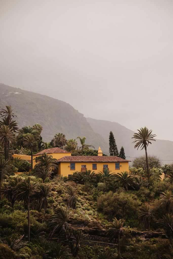 Teneriffa_by Leevke Draack_48 | Du suchst natürliche und atmosphärische Prints oder Leinwanddrucke? In diesem Shop gibt es alles, nur kein Mainstream. - Realisiert mit Pictrs.com