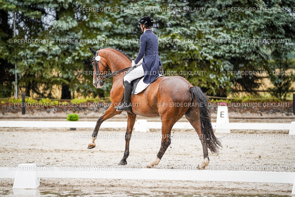 DSC08677 | Pferdegrafie