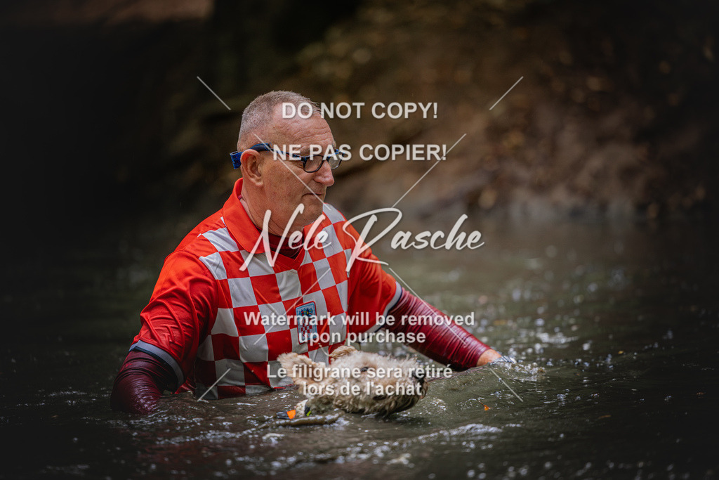 nelerasche_SaWingst1130-1200_115 | nelerasche