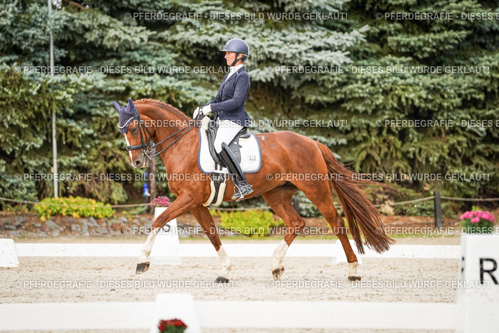 DSC09136 | Pferdegrafie