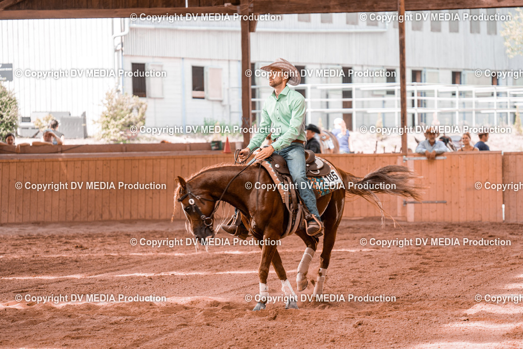 NE300778 | dv-media-shop - Realisiert mit Pictrs.com