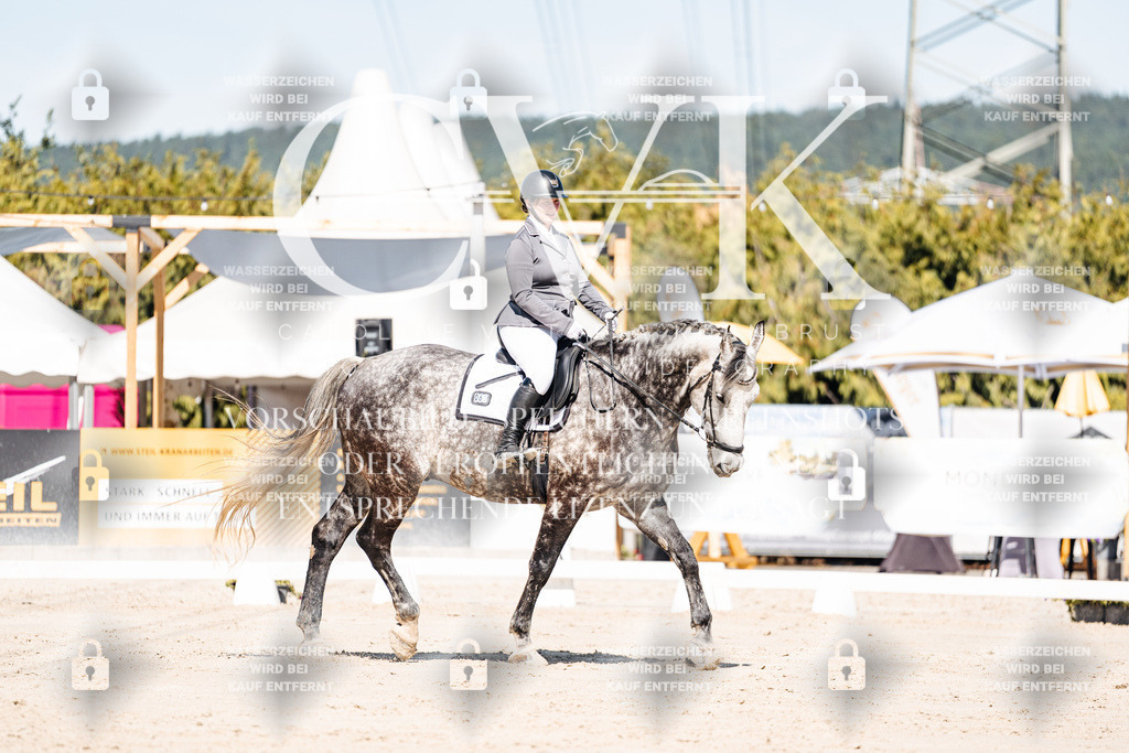 CK909082 | Turnierfotografie Pferdefotografie Trier Rheinland-Pfalz Pferdesport Reitsport Tierfotografie Sportfotografie Pferdevideo Pferdevideografie Equestrianvideography equestrianphotography  - Realisiert mit Pictrs.com