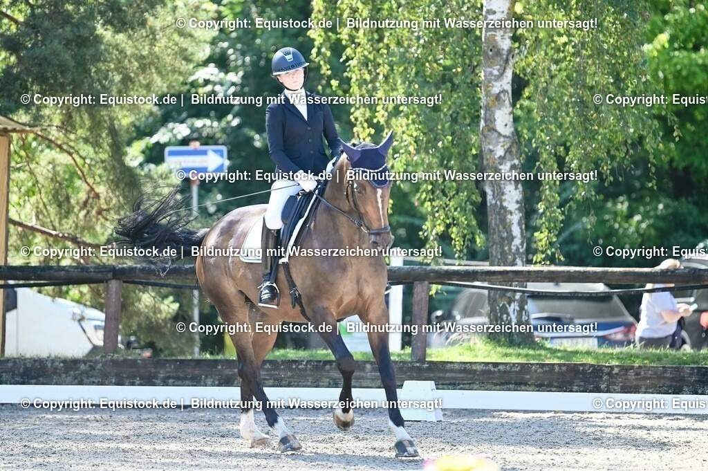 20230908_06_Dressur-L-Trense_0442 | equistock