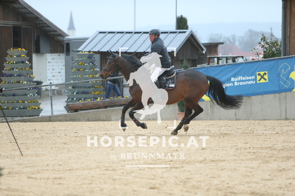 DL2Q6781 | Willkommen bei Brunnmayr - Design & Fotografie – Ihrem Spezialisten für Reitturniere und Pferdeveranstaltungen in Oberösterreich, Salzburg und Bayern! Seit über 17 Jahren sind wir leidenschaftlich dabei.