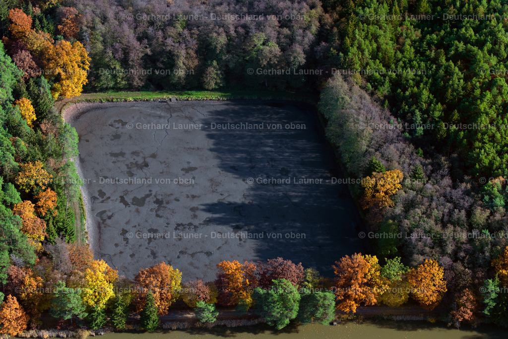 3808100 | Herbstliche Bäume an den Fischteichen bei Adelsdorf