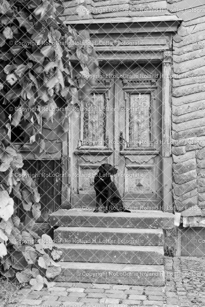 Altes-Haus-01-G | Altes Haus, Hauseingang mit Steintreppe auf der ein schwarzer Labrador sitzt - Realisiert mit Pictrs.com