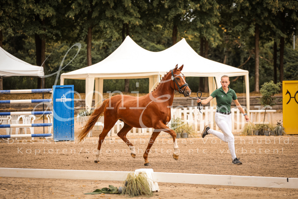 07.So00066 | Leoni Ertmer Photography - Realisiert mit Pictrs.com