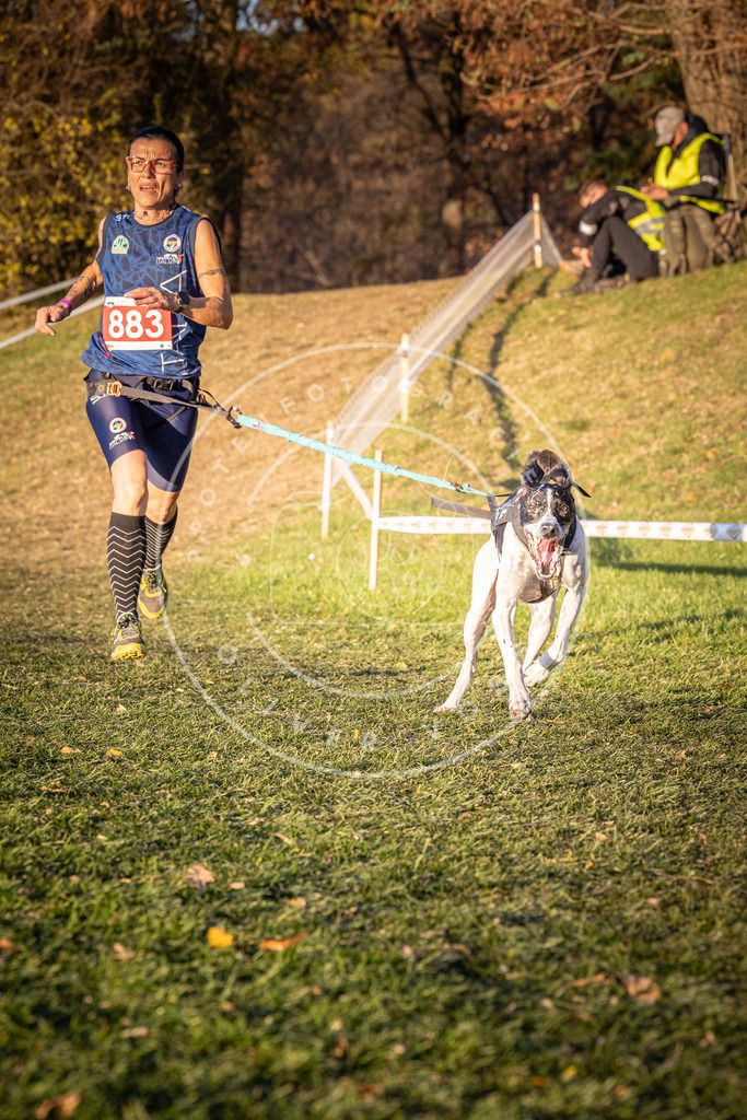 CaniXpix_0L8A1191 | Hundefotografie, Tierfotograf, Pfotenfotografie, Fotoshooting Hund, Hunde Portrait, Hundesport, Hundeportraits, Heideshooting, Hunde, Sportfotograf, Hundefotograf, Turnierhundsport, THS,  - Realisiert mit Pictrs.com
