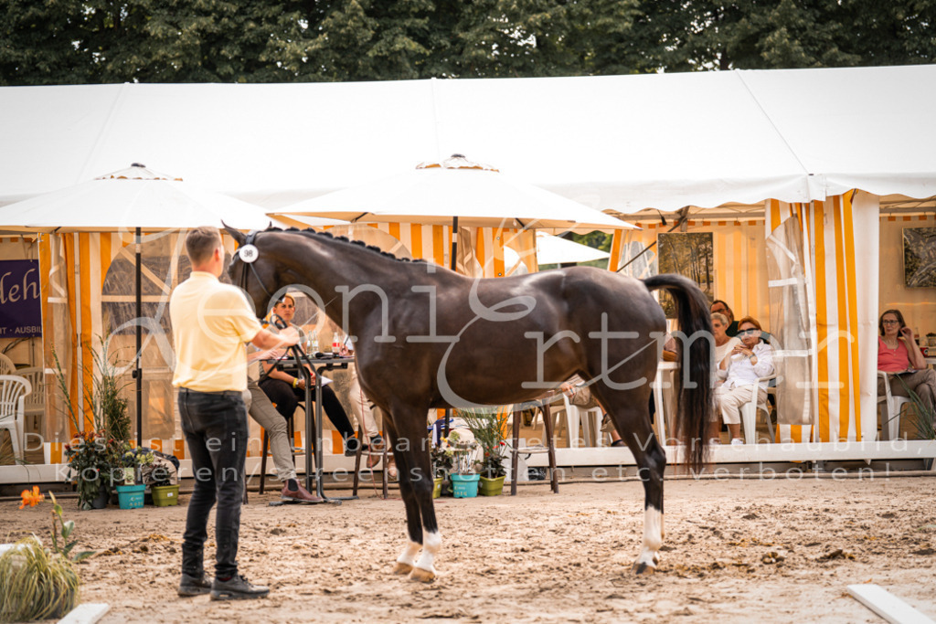 7.Fr00082 | Leoni Ertmer Photography - Realisiert mit Pictrs.com