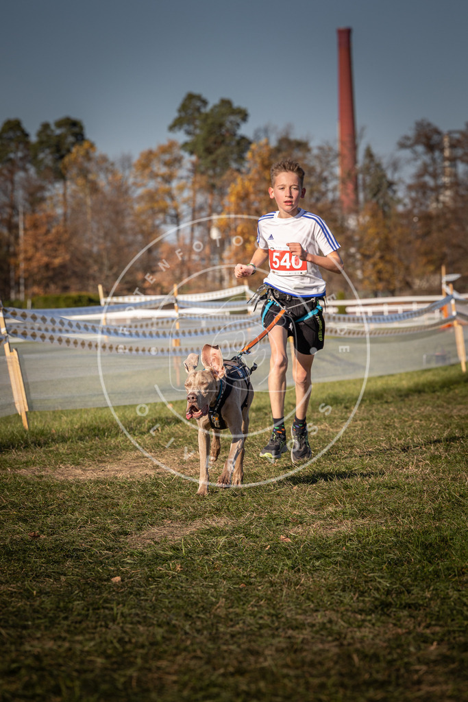 CaniXpix_0L8A7546 | Hundefotografie, Tierfotograf, Pfotenfotografie, Fotoshooting Hund, Hunde Portrait, Hundesport, Hundeportraits, Heideshooting, Hunde, Sportfotograf, Hundefotograf, Turnierhundsport, THS,  - Realisiert mit Pictrs.com