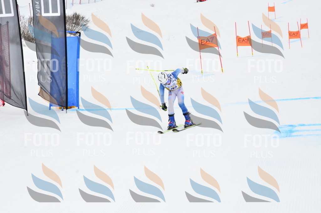 _ELE3879 | holidayphoto