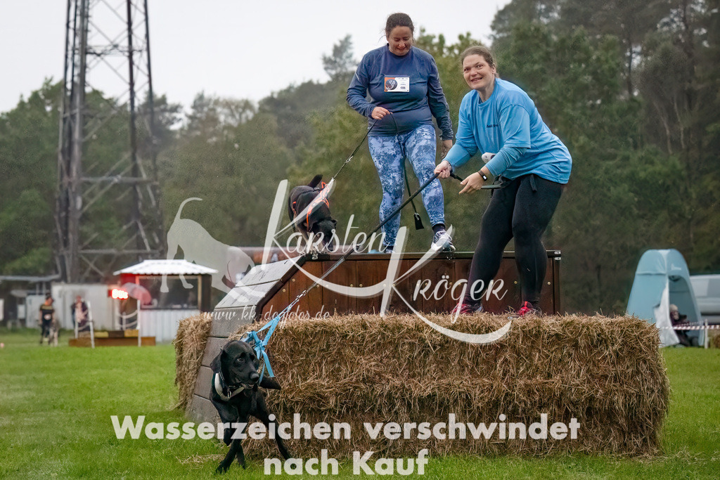 0804-_ZZ90087-Bearbeitet-Bearbeitet | kk-dogfotos