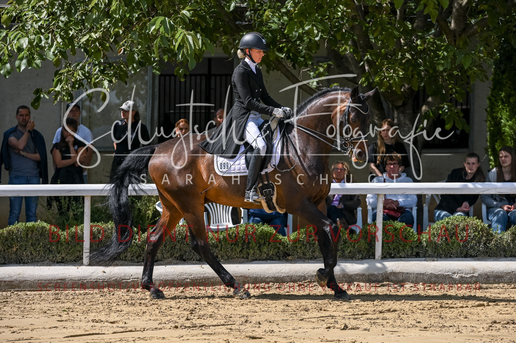 Schugtsche-Aluta25-58. Dressurprf.S1Kand.St.GeorgSpecial-135 | Schugtsche Fotografie - Realisiert mit Pictrs.com