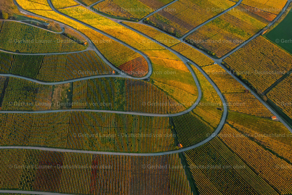 9000494 | Weinberge bei Abtswind, Weinlage Altenberg