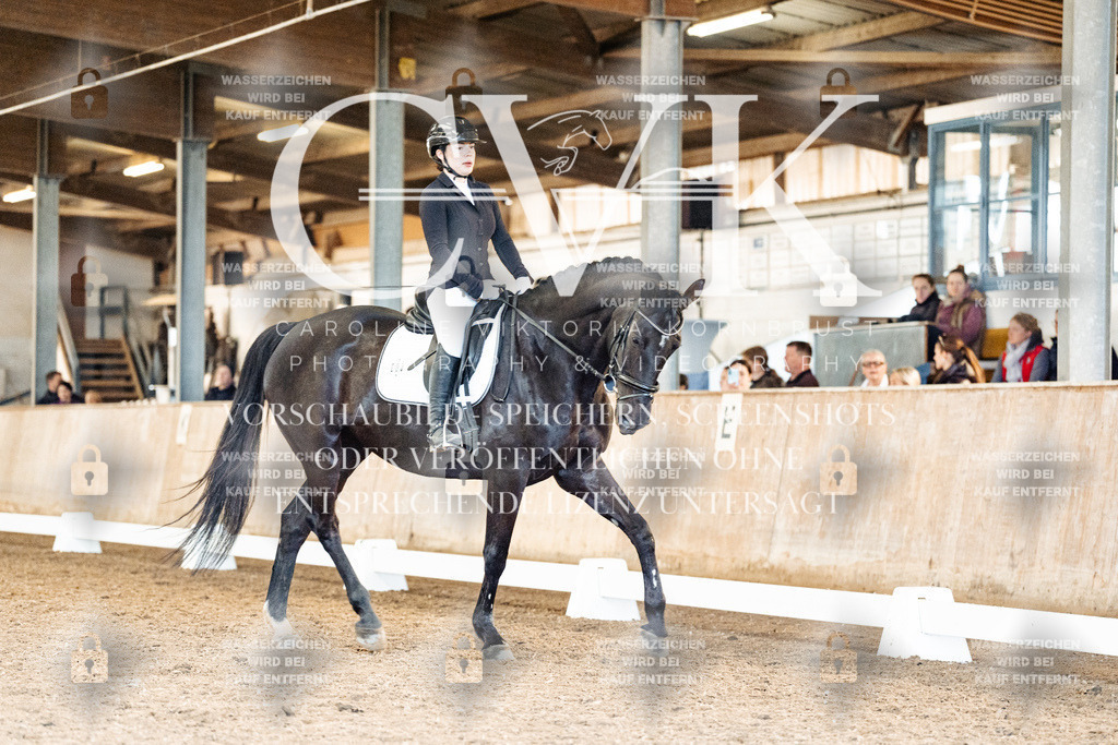 CK909509 | Turnierfotografie Pferdefotografie Trier Rheinland-Pfalz Pferdesport Reitsport Tierfotografie Sportfotografie Pferdevideo Pferdevideografie Equestrianvideography equestrianphotography  - Realisiert mit Pictrs.com