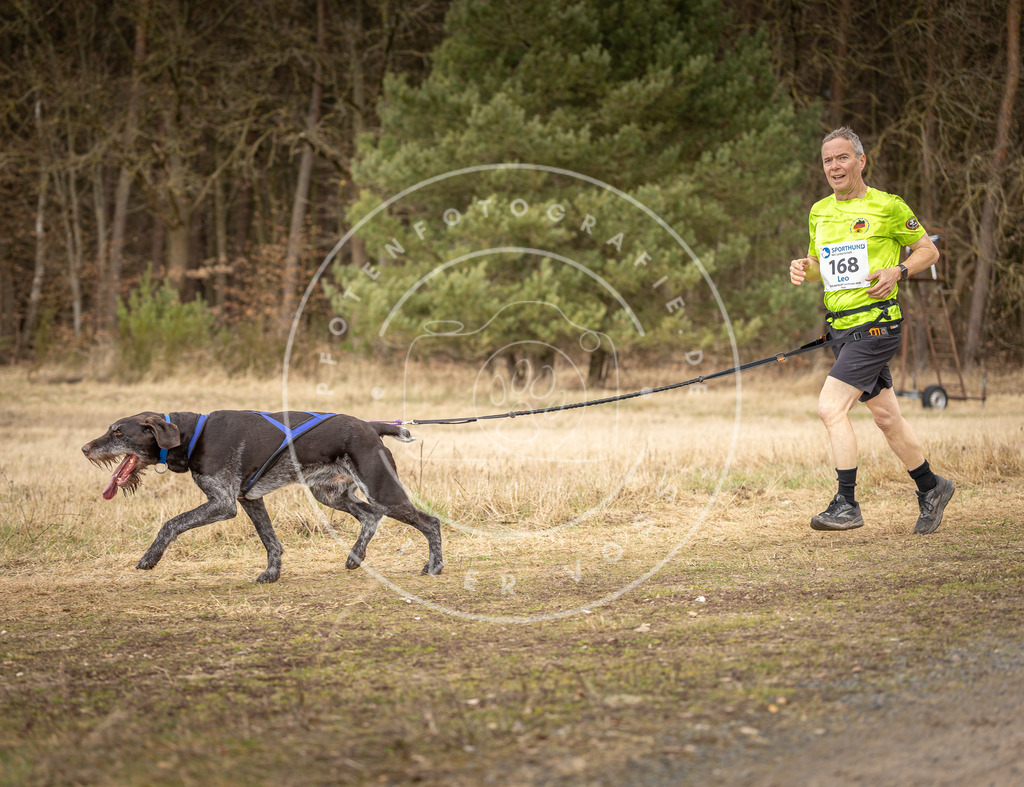 DV3A5268 | Hundefotografie, Tierfotograf, Pfotenfotografie, Fotoshooting Hund, Hunde Portrait, Hundesport, Hundeportraits, Heideshooting, Hunde, Sportfotograf, Hundefotograf, Turnierhundsport, THS,  - Realisiert mit Pictrs.com