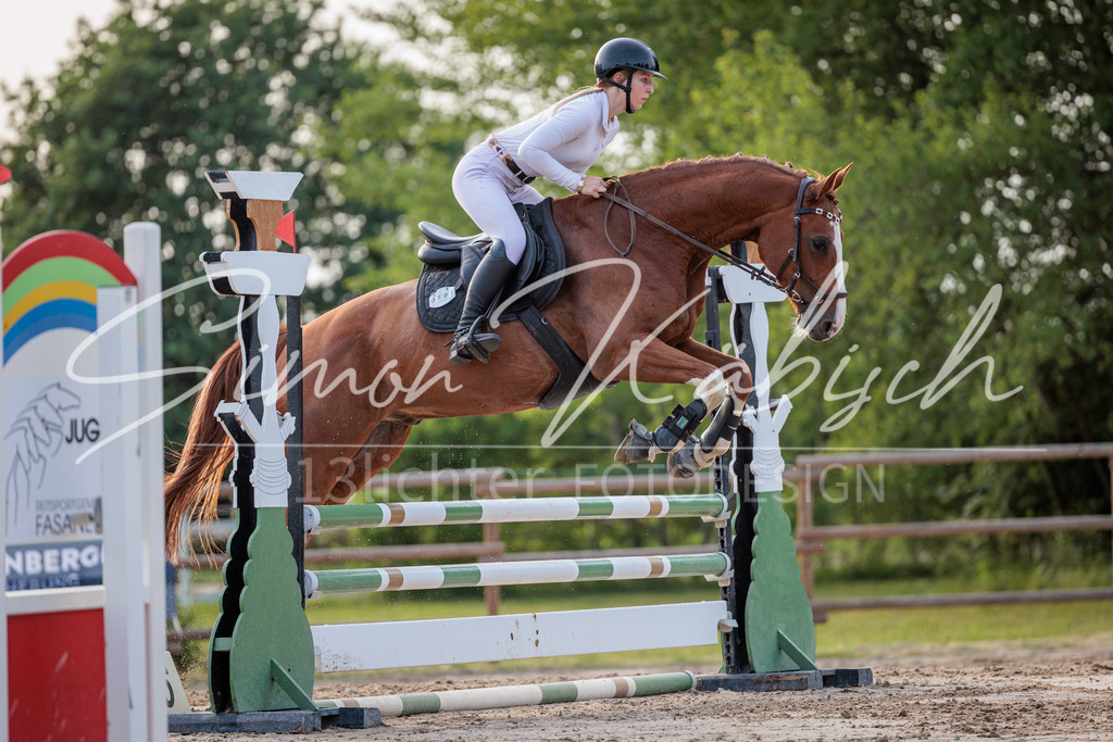 20260529-_3LI1451 | Tierfotografie Pferde, Hunde, Katzen, Haustiere.
Turnierfotografie Reitturniere, Reiten, Springreiten, Dressur in Hanau, dem Main-Kinzig-Kreis und dem Rhein-Main- Gebiet um Frankfurt