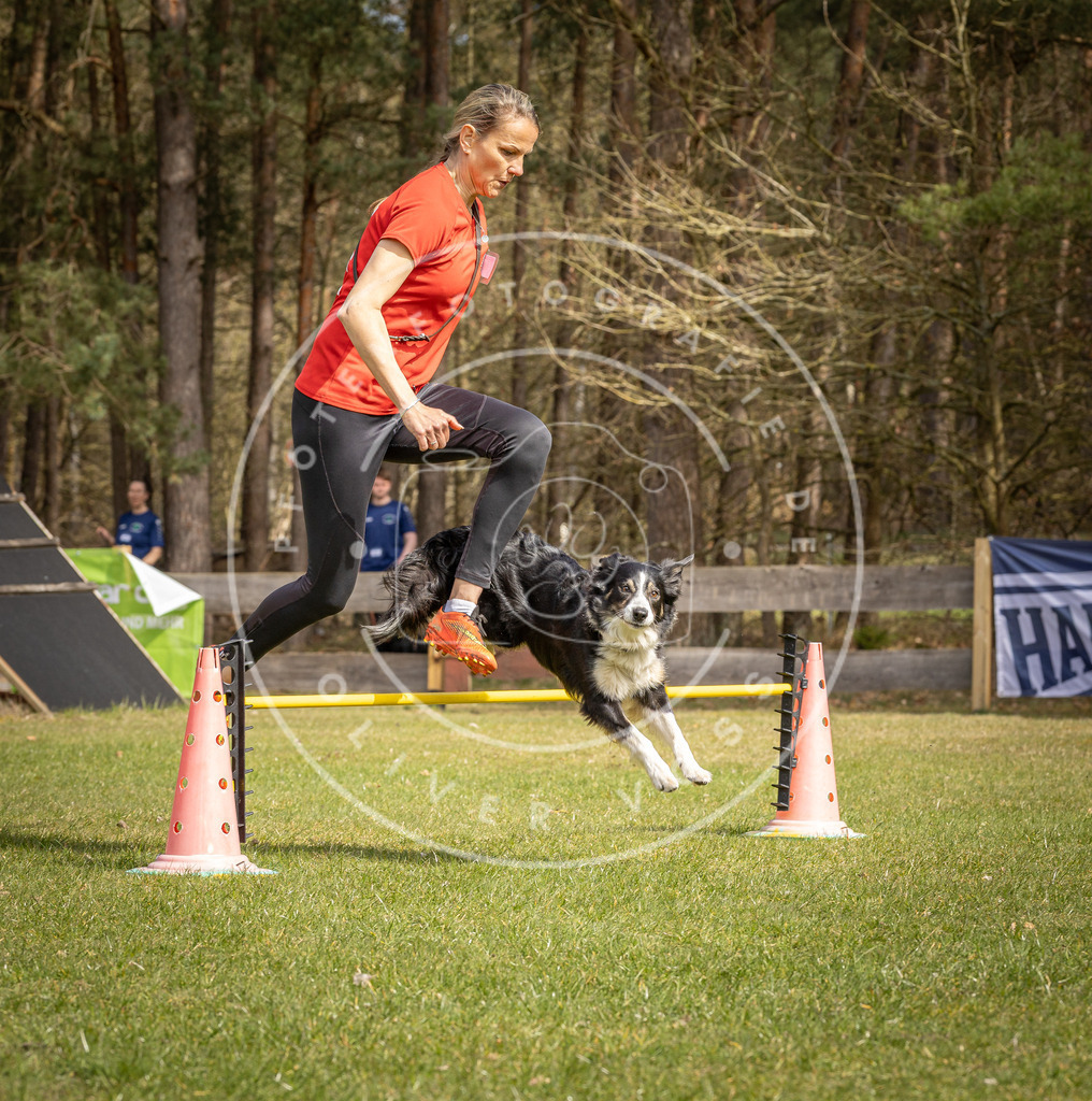 Pfotenfotografie_DV3A6564 | Hundefotografie, Tierfotograf, Pfotenfotografie, Fotoshooting Hund, Hunde Portrait, Hundesport, Hundeportraits, Heideshooting, Hunde, Sportfotograf, Hundefotograf, Turnierhundsport, THS,  - Realisiert mit Pictrs.com