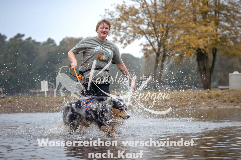 1100_ZZ92429 | kk-dogfotos