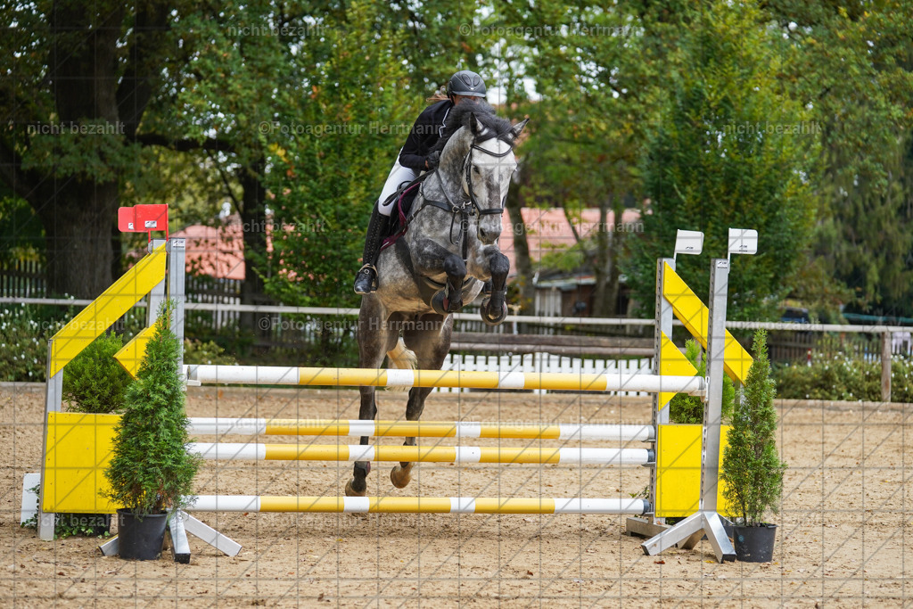 20221009-FAH08886 | Diessen am Ammersee, 2022, Dressur- und Springturnier, Reitsportbilder, Turnierfotografen Bayern, Pferdefotografen, Fotoagentur Herrmann, Turnierbilder