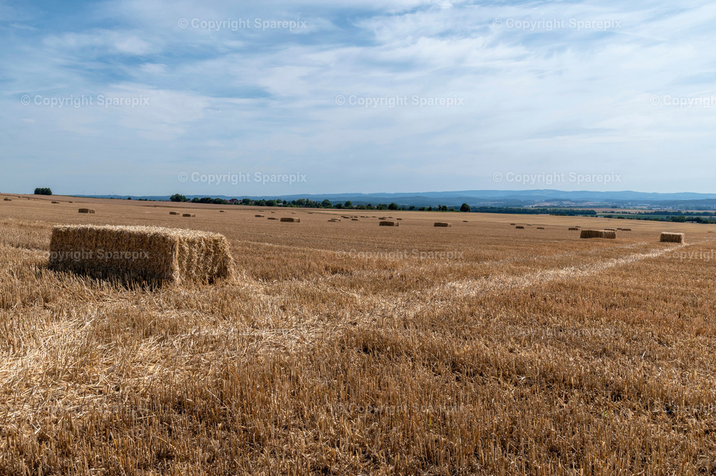 CAR_Agri_Stubblefield31 | sparepix - Realisiert mit Pictrs.com