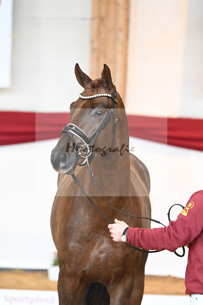Kat-Nr. 41 Morricone I x De Niro_Kozok_43230502 | hf-fotografie - Realisiert mit Pictrs.com