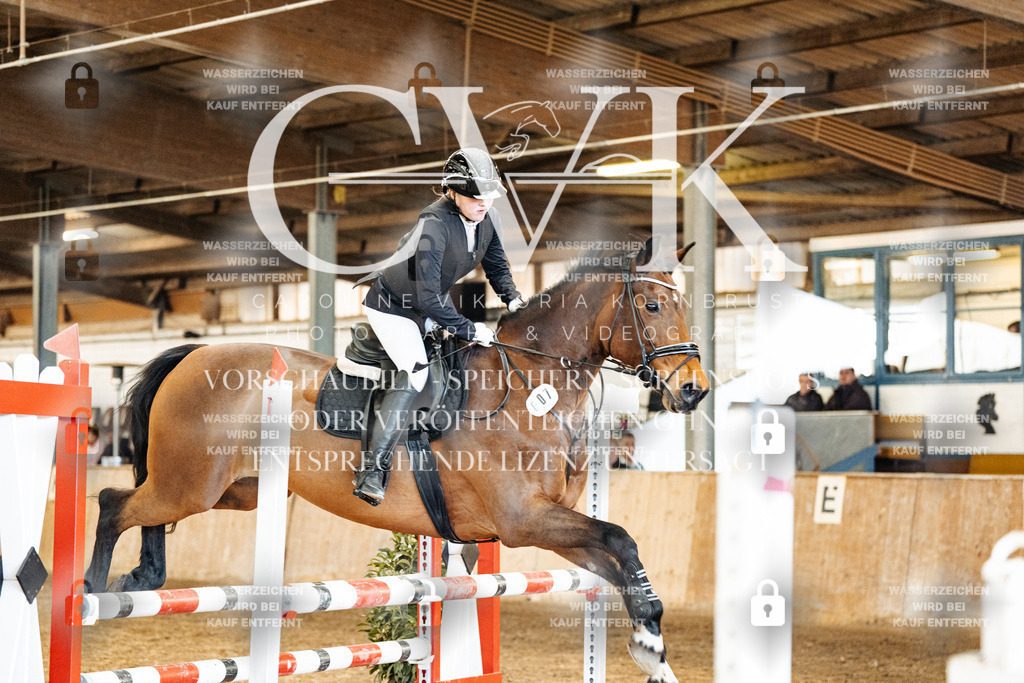 CK904865 | Turnierfotografie Pferdefotografie Trier Rheinland-Pfalz Pferdesport Reitsport Tierfotografie Sportfotografie Pferdevideo Pferdevideografie Equestrianvideography equestrianphotography  - Realized with Pictrs.com