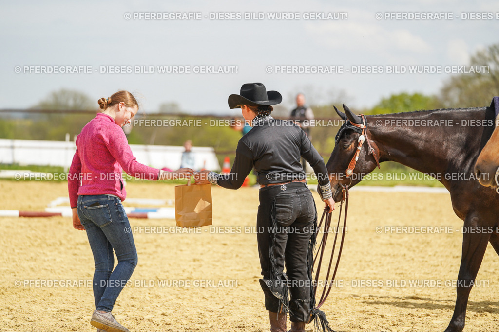 DSC05456 | Pferdegrafie