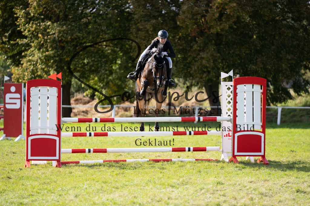 A7V06944 | Pferdefotograf