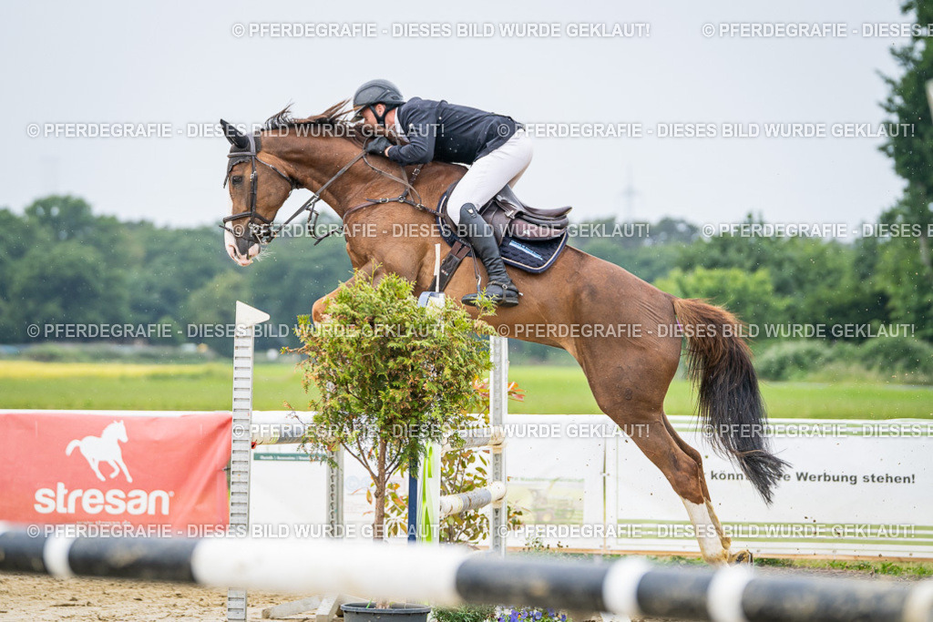 DSC02750 | Pferdegrafie