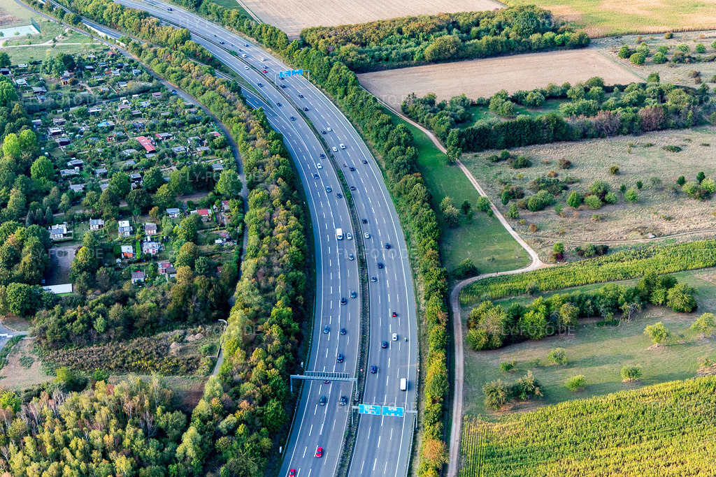 Luftbild: Autobahn A661 an der KGV Cronberger eV Anlage 12 im Ortsteil Preungesheim in Frankfurt im Bundesland Hessen in Deutschland. Foto: IMG_117653.jpg vom 10.09.2019 durch Werner Riehm/FLY-FOTO.de