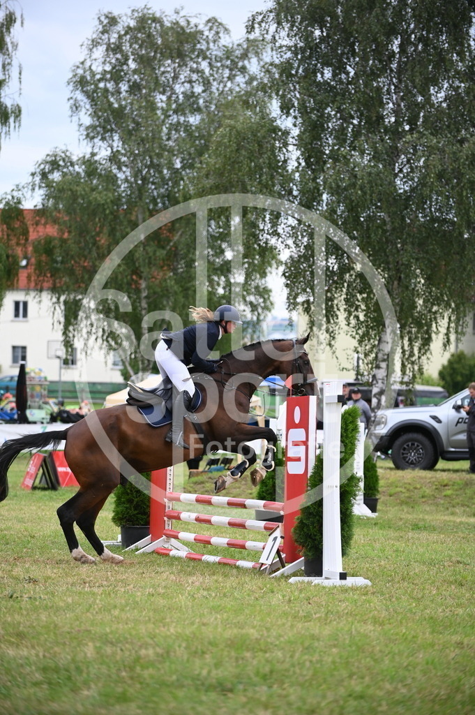 DSC_4312 | sattelsport - Realisiert mit Pictrs.com