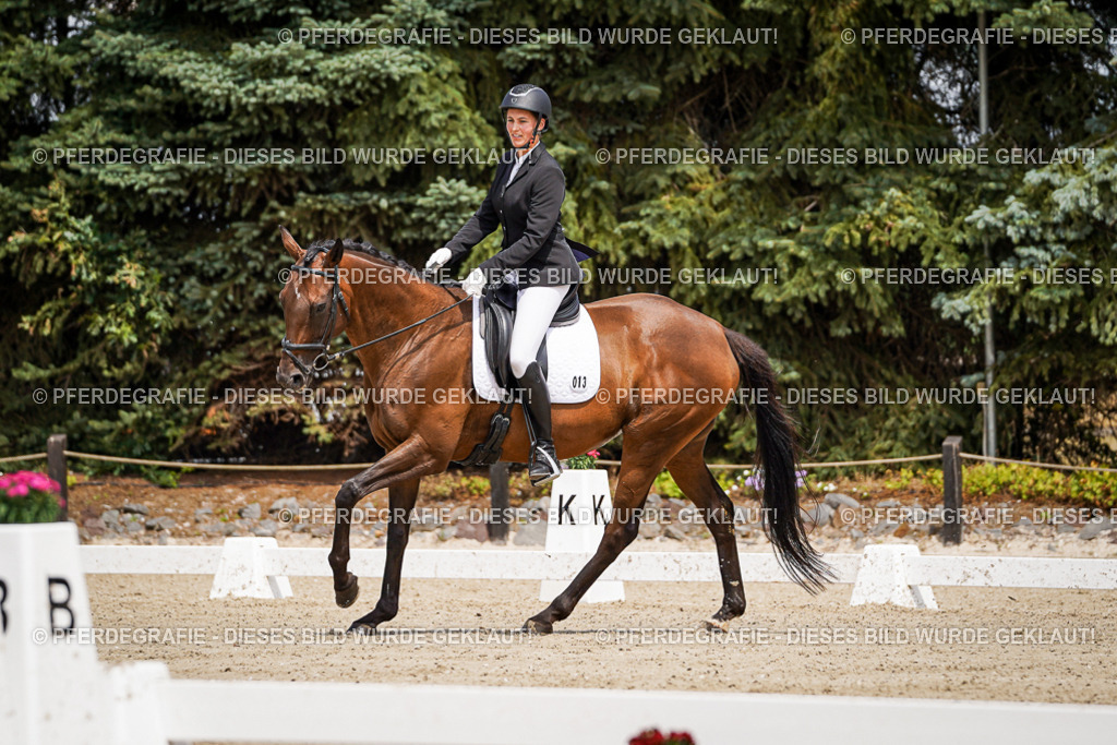 DSC02075 | Pferdegrafie