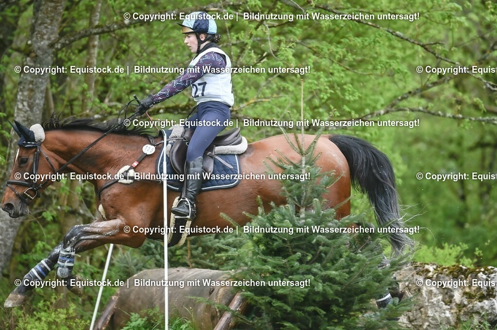 20230513_CCI2_Section2_Gelände_0410 | equistock