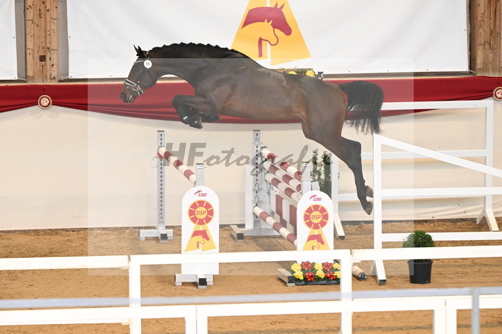 Kat.-Nr. 11 v. Conthargos_Schlamminger_3261570 | hf-fotografie - Realisiert mit Pictrs.com