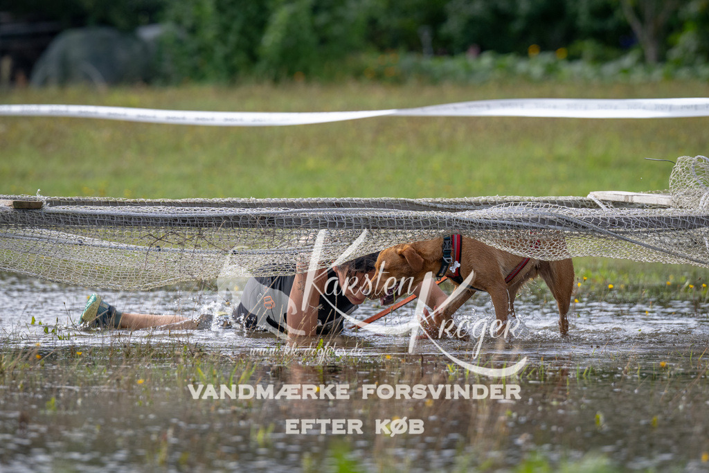 1114_ZZ92117 | kk-dogfotos