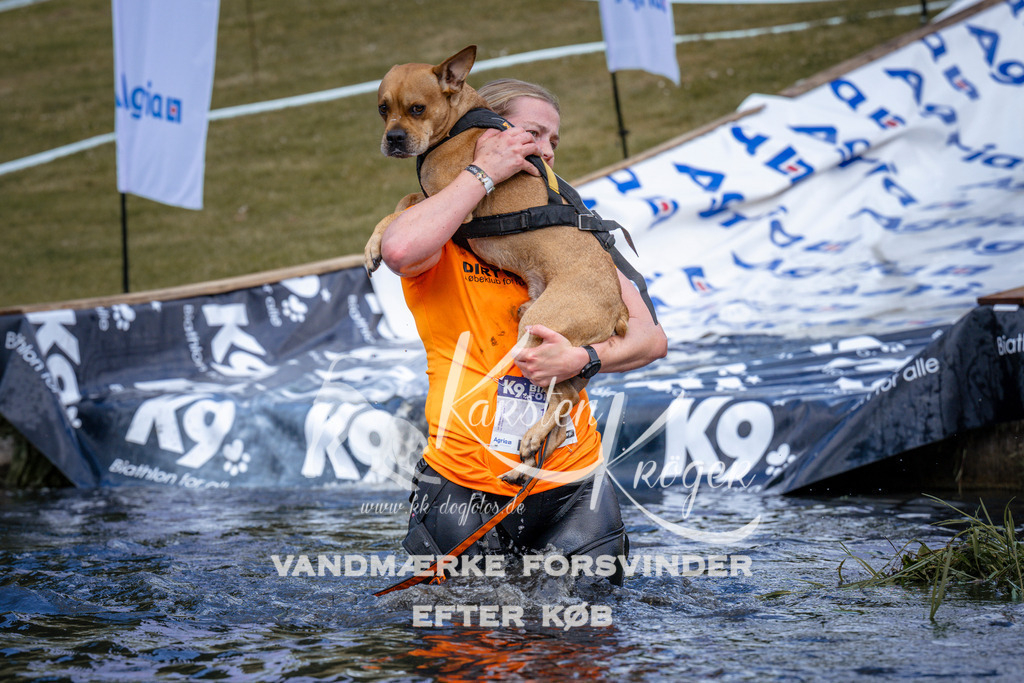 _ZZ917380917 | kk-dogfotos
