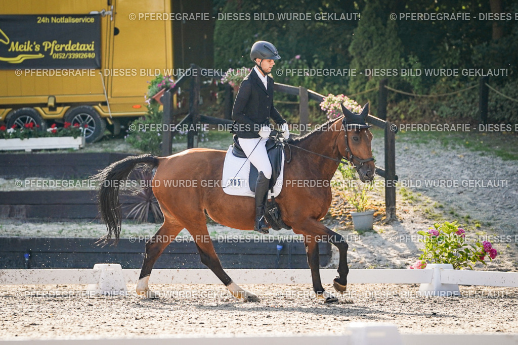 DSC08415 | Pferdegrafie