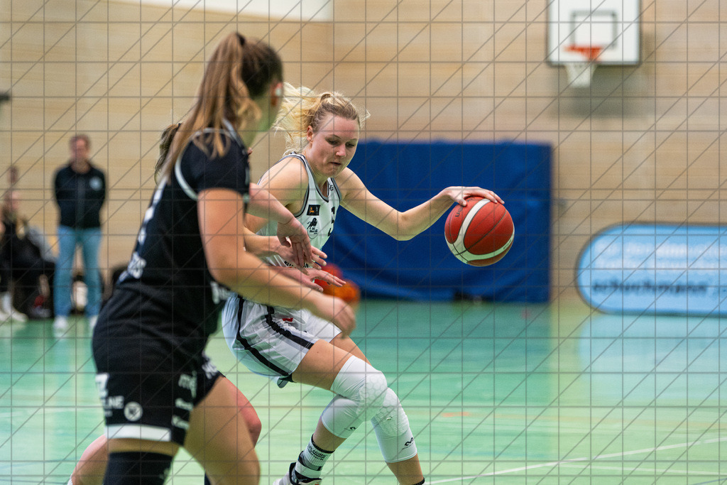 2. DBBL Nord 24/25 | 06.10.2024 | BBC OS vs. Bender Baskets Grünberg | 2. DBBL Nord 24/25 | 06.10.2024 | BBC OS vs. Bender Baskets Grünberg - - - - - CREDIT, www.bullenfotos.de, Martin König, Hörner Weg 40, D-49078 Osnabrück, +4917663732967, Nutzung und Weitergabe nur zu den vereinbarten Zwecken. Presseanfragen an Urheber. Alle Rechte beim Urheber. - - - - - - Realisiert mit Pictrs.com