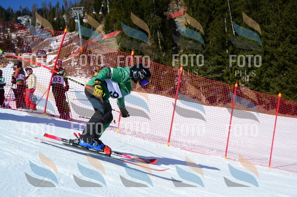 C5694 | holidayphoto