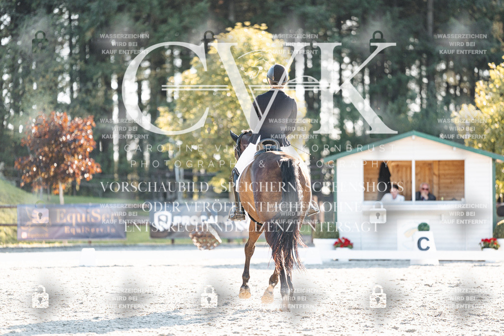 CK907165 | Turnierfotografie Pferdefotografie Trier Rheinland-Pfalz Pferdesport Reitsport Tierfotografie Sportfotografie Pferdevideo Pferdevideografie Equestrianvideography equestrianphotography  - Realisiert mit Pictrs.com