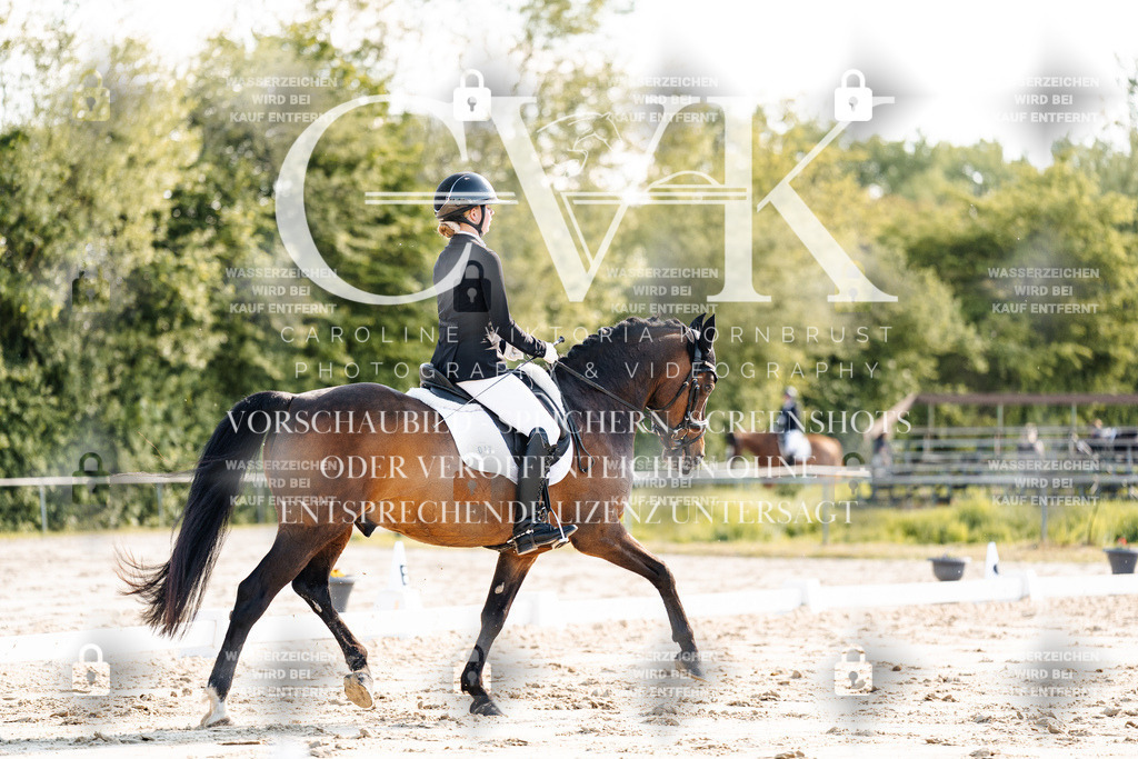 CK909517 | Turnierfotografie Pferdefotografie Trier Rheinland-Pfalz Pferdesport Reitsport Tierfotografie Sportfotografie Pferdevideo Pferdevideografie Equestrianvideography equestrianphotography  - Realisiert mit Pictrs.com